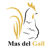 Negocio Casa Rural Mas Del Gall