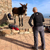 Negocio Hostal Rural Falgars